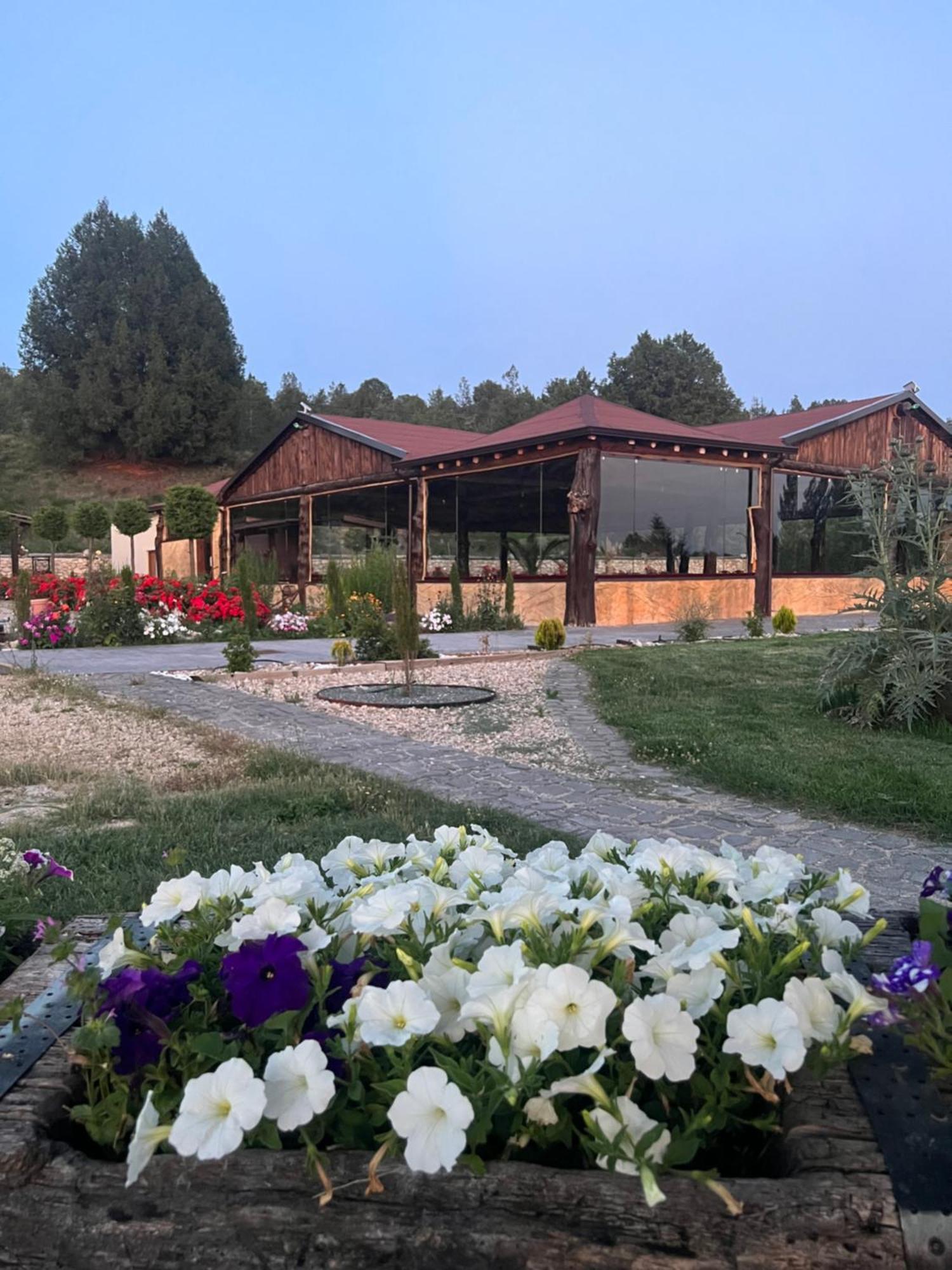 El Burgo De Osma Alojamiento Rural Villa Bagh Eksteriør billede